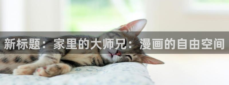 汗汗漫画免费下载：新标题：家里的大师兄：漫画的自由空间