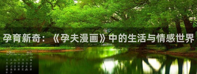 汗汗漫画书：孕育新奇：《孕夫漫画》中的生活与情感世界
