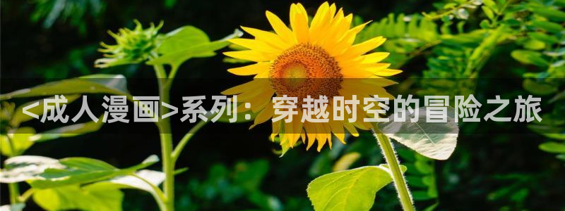 汗汗漫画网站免费：<成人漫画>系列：穿越时空的冒险之旅